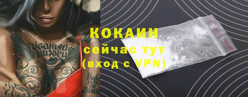 как найти наркотики  Вилючинск  COCAIN FishScale 